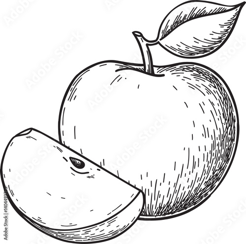 vector illustration of an apple