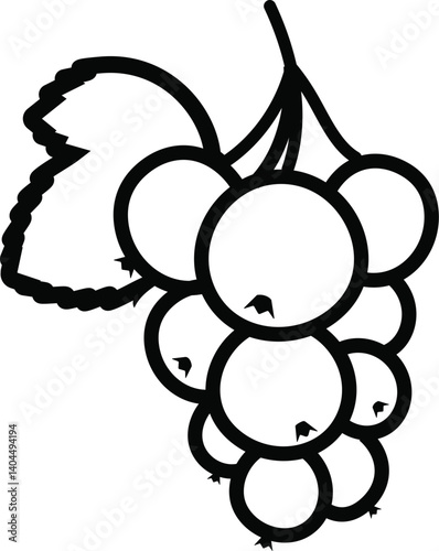 vector illustration of Currant