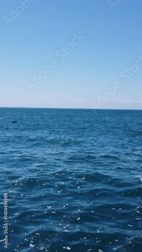 Wallpaper Mural Kayak on sea. Aerial view. Couple sailing on a boat and paddling. Stock footage. A young couple of tourists on an active water vacation floats on the sea waves in a canoe or kayak. Summer and blue Torontodigital.ca