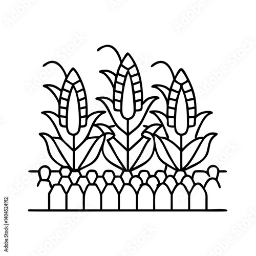 Three Corn Plants Growing in a Field Illustration Line Art Graphic Design