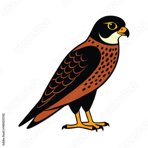 Falcon in profile