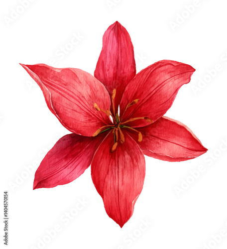 Elegant red amaryllis flower with detailed watercolor,isolated on a white background.