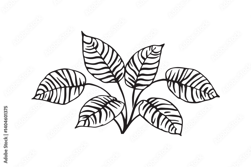 Fototapeta premium Zebra Plant line art