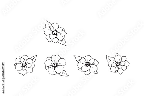 Set of 6 pec in two row  Japanese Camellia line art on white background