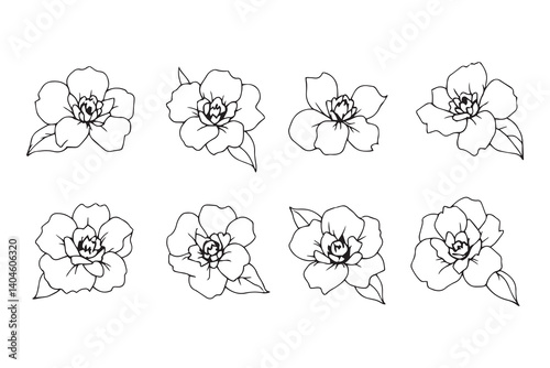 Set of 6 pec in two row  Japanese Camellia line art on white background