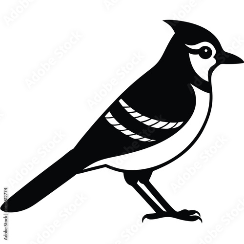 Blue jay vector silhouette single collection