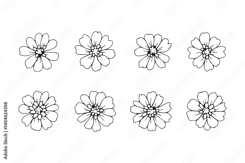 Lantana line art Lantana line art