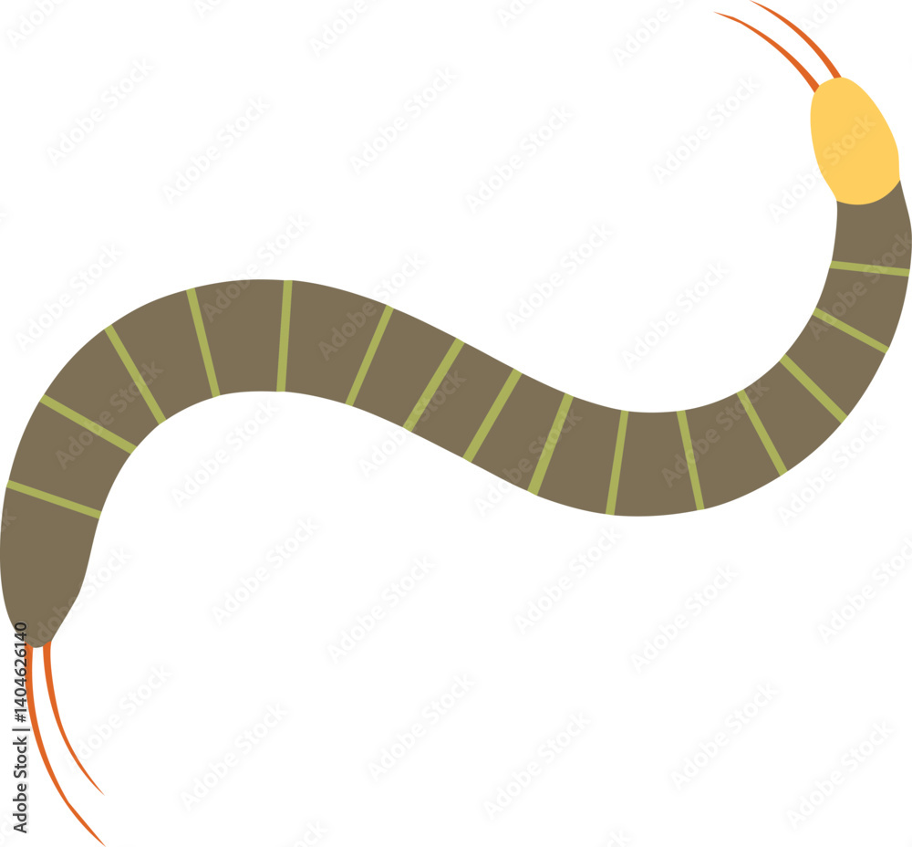 vector illustration of a centipede vector illustration of a centipede