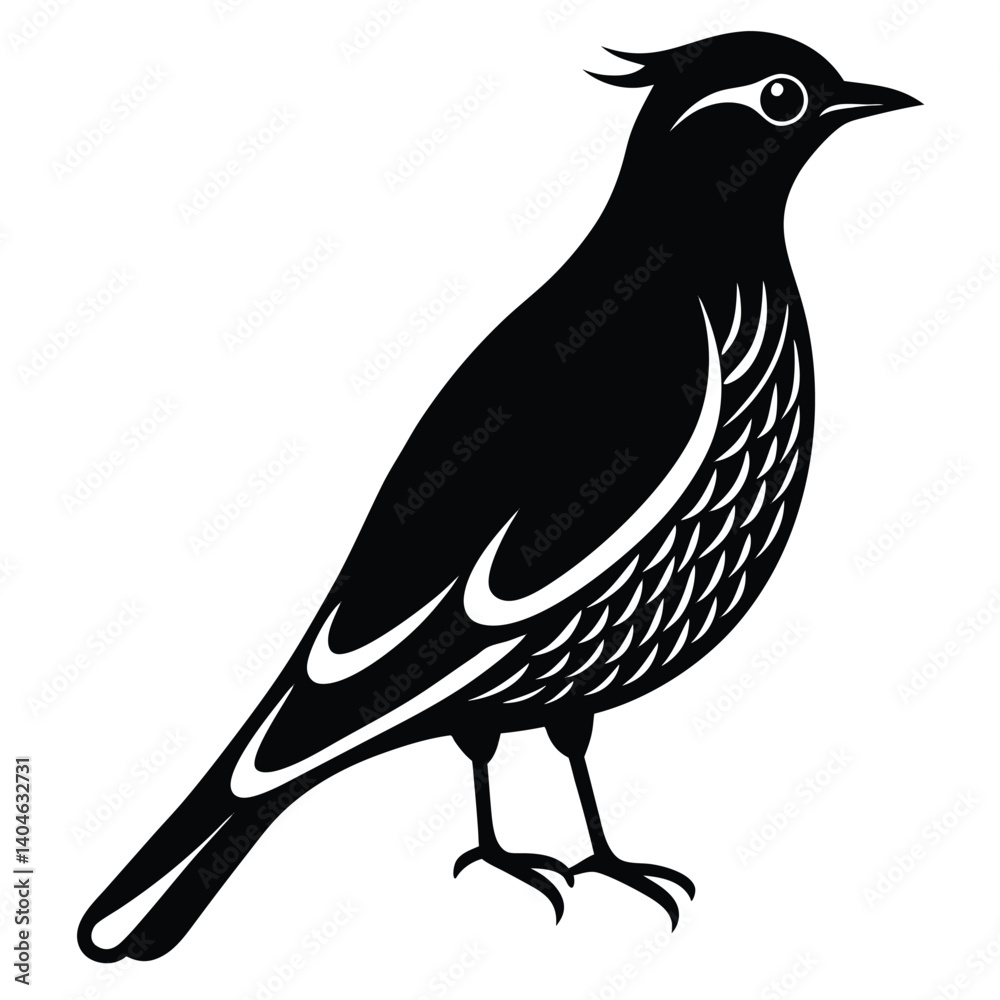 Obraz premium Bohemian waxwing vector silhouette single collection