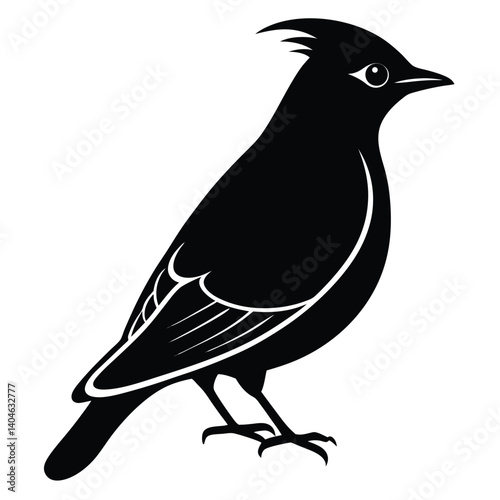 Bohemian waxwing vector silhouette single collection