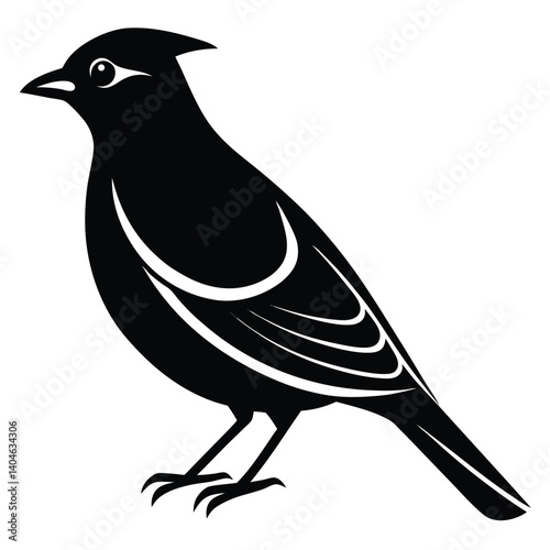 Bohemian waxwing vector silhouette single collection