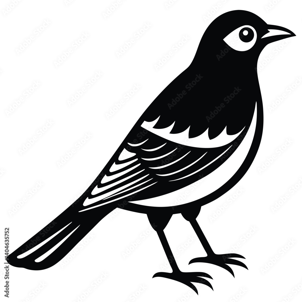 Obraz premium Bohemian waxwing vector silhouette single collection
