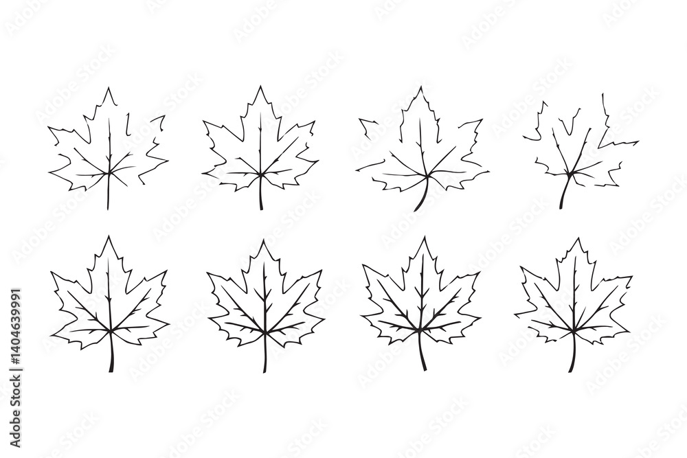 Fototapeta premium Maple leaf line art