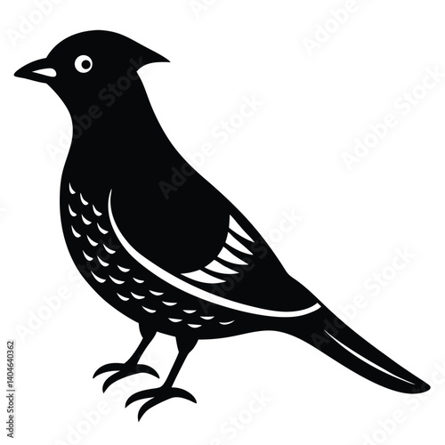 Bohemian waxwing vector silhouette single collection