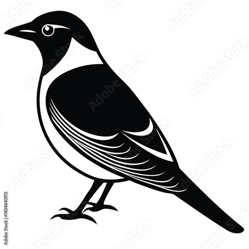 Bohemian waxwing vector silhouette single collection