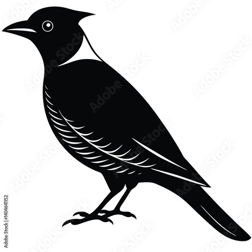 Bohemian waxwing vector silhouette single collection