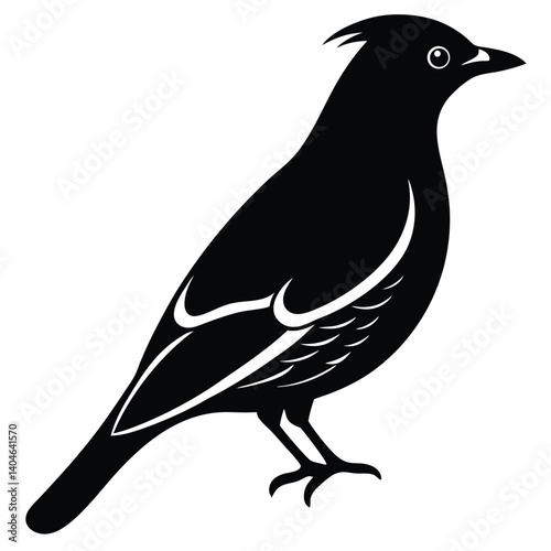 Bohemian waxwing vector silhouette single collection