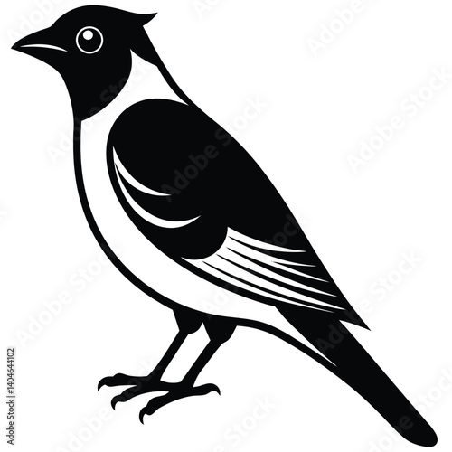 Bohemian waxwing vector silhouette single collection