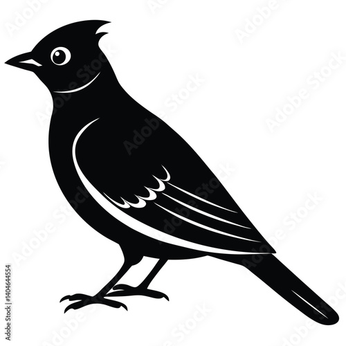 Bohemian waxwing vector silhouette single collection