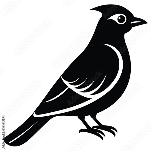 Bohemian waxwing vector silhouette single collection