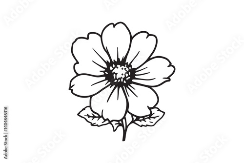 Marsh Marigold line art