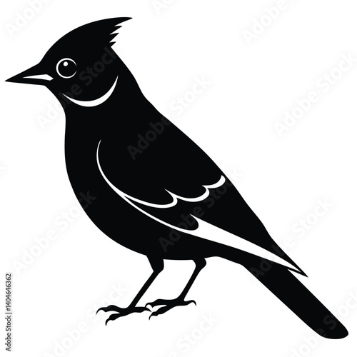 Bohemian waxwing vector silhouette single collection