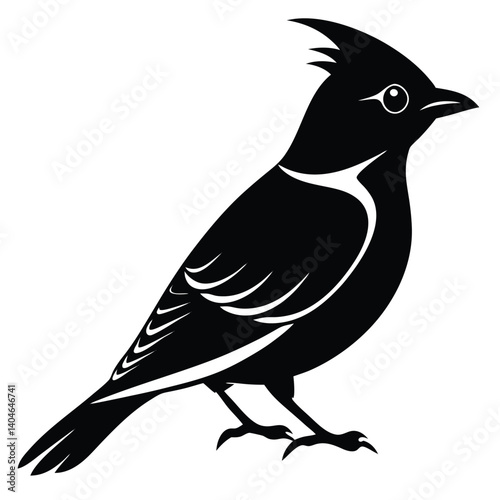 Bohemian waxwing vector silhouette single collection