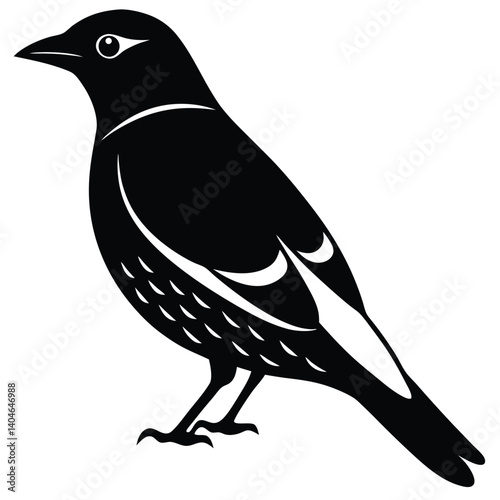 Bohemian waxwing vector silhouette single collection