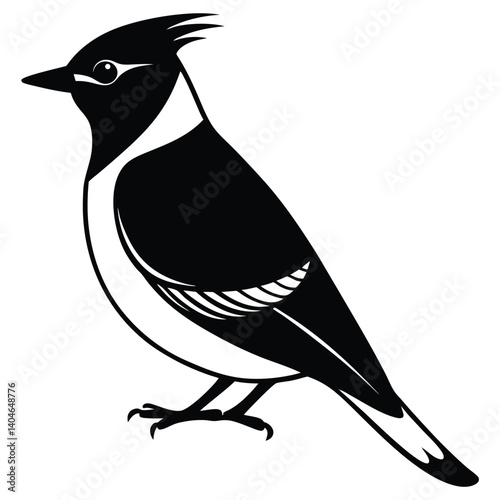 Bohemian waxwing vector silhouette single collection
