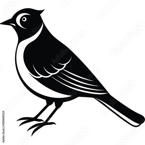 Bohemian waxwing vector silhouette single collection