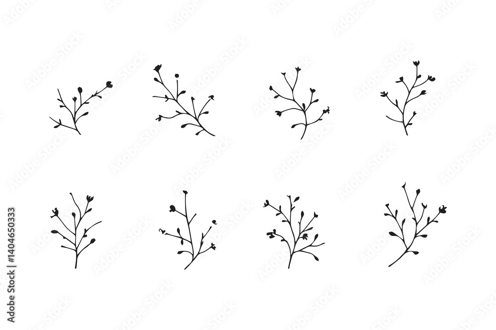 Obraz premium Mimosa line art