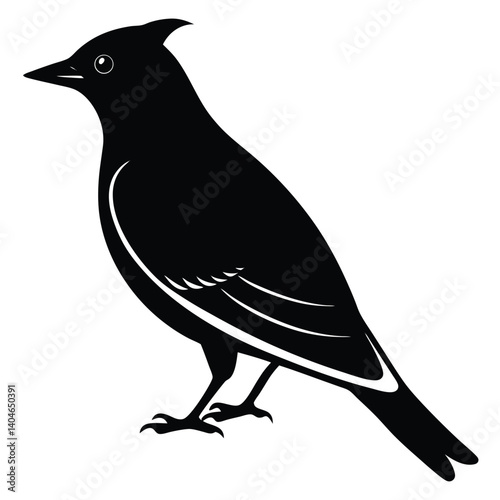 Bohemian waxwing vector silhouette single collection