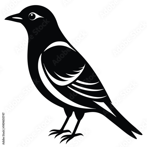Bohemian waxwing vector silhouette single collection