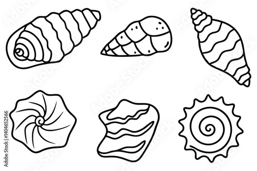 fossil layers line art revealing earth’s hidden fossil record
