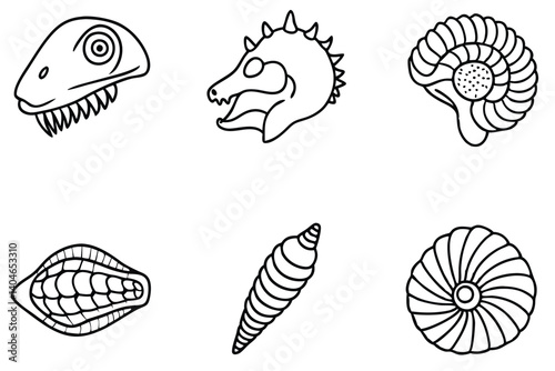 fossil line art drawing of extinct life forms