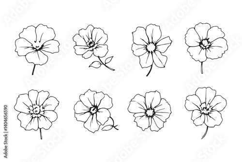 Nasturtium line art