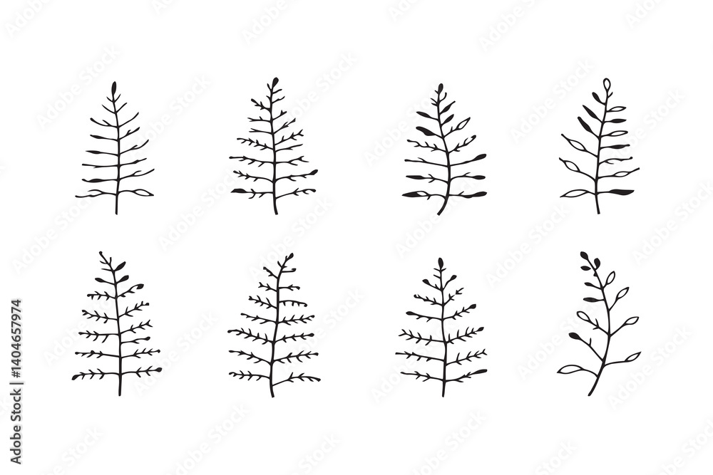 Obraz premium Northern Maidenhair Fern line art