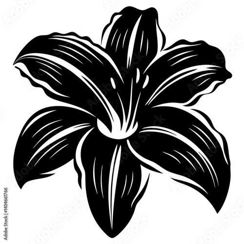 Bild auf Leinwand A Black and White Illustration of a Daylily Flower with Detailed Petals and Vein