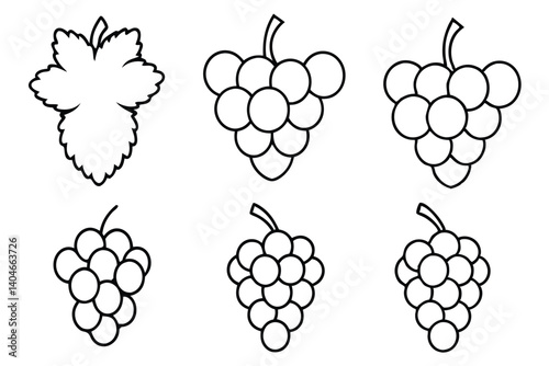 grape line art clean outline of fresh fruit design
