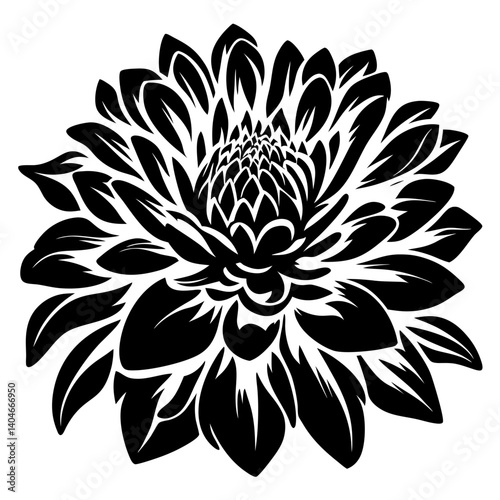 A striking black and white illustration of a dahlia flower detailed petals and central disc