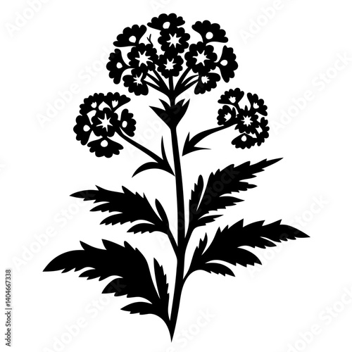 Elegant Black and White Silhouette of a Flowering Plant Botanical Illustration
