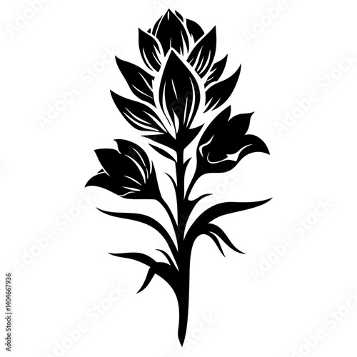 Black and White Stylized Indian Paintbrush Flower Illustration Botanical Art Graphic Design Element