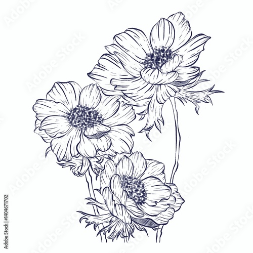 Three delicate handdrawn flowers sketched in ink showcasing a minimalist and artistic style