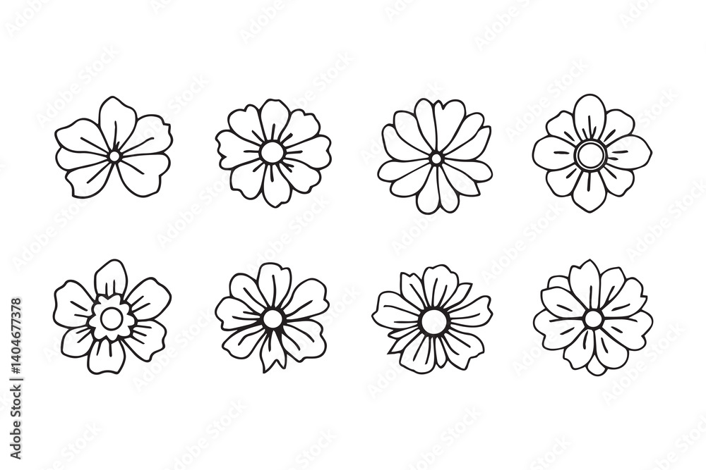 Phlox line art Phlox line art