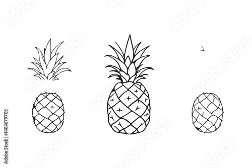 Set of 6 pec in two row  Pineapple line art on white background
