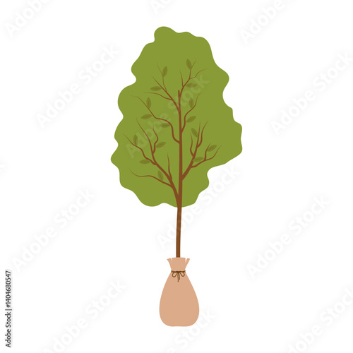 Gardening Tools and Essentials Illustration