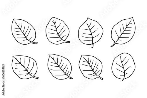 Sapodilla Leaf line art