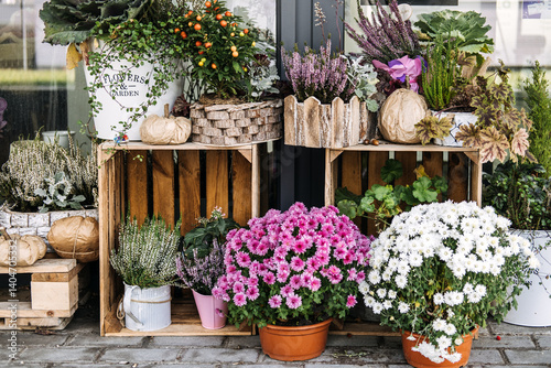 Fototapeta Naklejka Na Ścianę i Meble -  Arrangement of potted flowers and foliage displayed on wooden crates outside a storefront. Natural textures, green business, sustainable floristry