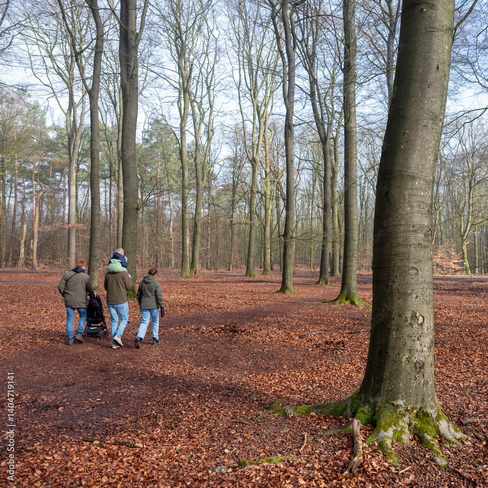 family walks in winter forest near utrecht in the netherlands