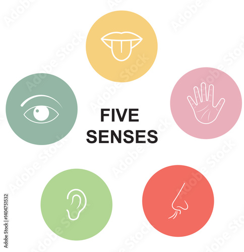 Human senses icon set. Vision eye, smell nose, hearing ear, touch hand, taste mouth with tongue. Simple line icons and black circle. Five senses of human nervous system.